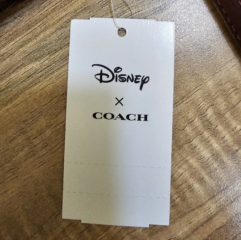 Disney X Coach Long Zip Around Wallet Once Upon A Dream - Picture 12 of 13